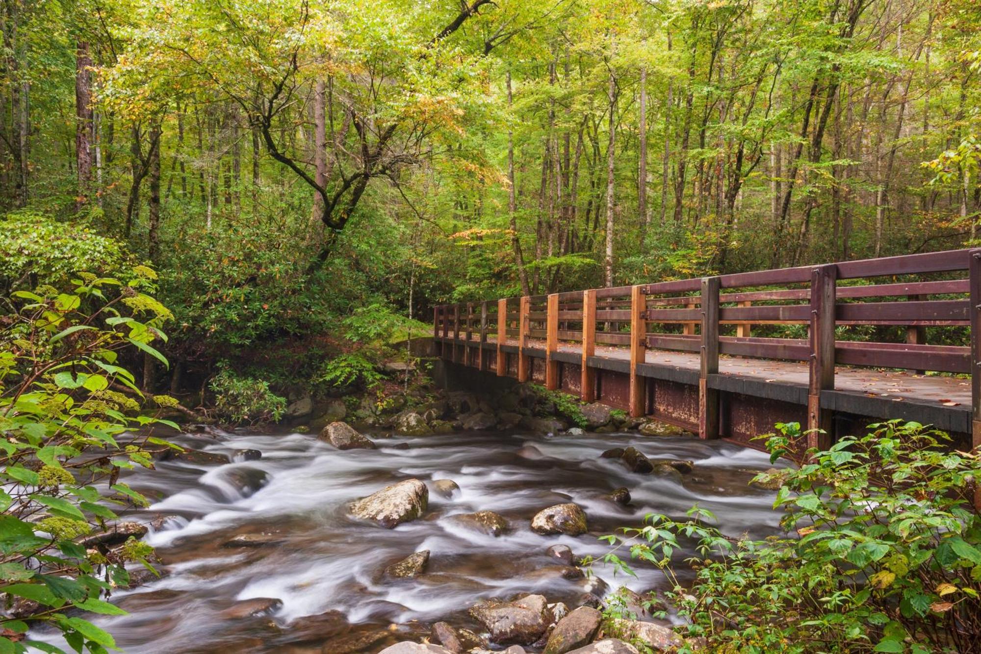 גטלינבורג Hidden Memories, Hot Tub, 1089 Of Free Attraction Tickets For Each Paid Day, Dollywood And More מראה חיצוני תמונה